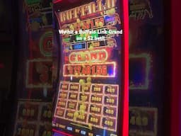 We hit $13,000 Buffalo Link Grand on a $2 bet!! #treasureisland
