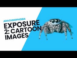 Arachnophobia Exposure 2 - Cartoon Images