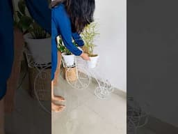 Tips To Improve Home Styling #shorts