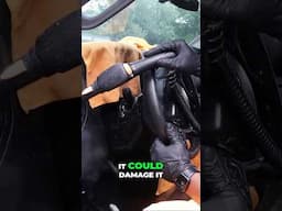 Covering up the dashboard screen is crucial so we always try to limit mistakes by placing a towel