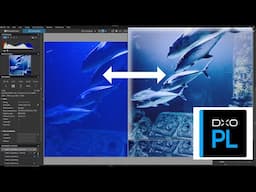 Simple Photo Edit Workflow in DXO Photolab 8 with New Update. @dxo