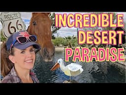 Quirky Paradise Packed With Antiques, Rescue Animals and Private Lake in the Desert Outside Barstow