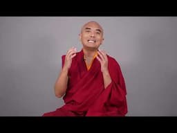 Thrive Daily: Meditation for Work, Life, and Purpose with Mingyur Rinpoche and Special Guests