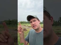 Do This One Thing For BIGGER Apples! #gardening #garden #farming #shorts