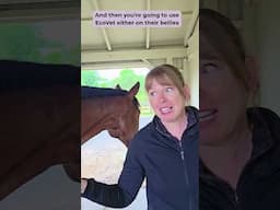 Fly Control for Horses - Treat the Barn and Your Horse