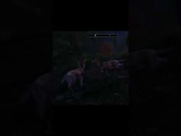 3 Deer Meet in Forest and… Oblivion Remastered