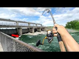 Fishing a BIG SPILLWAY with TINY Live Bait..
