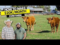 How to Start $20K/Month Cow Farm Business