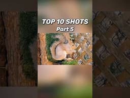 Top Shots with the EDgun Leshiy 2 (Part 5)