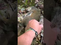 Homemade Squirrel Lure! #Jesus #GrayGang