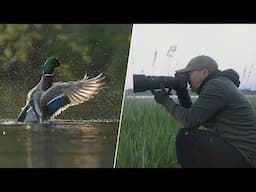 The Best Camera Features for Bird Photography and Why You Need Them