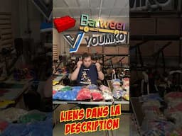 Youmko : le MOC de Mario GEANT ! (assemblage)