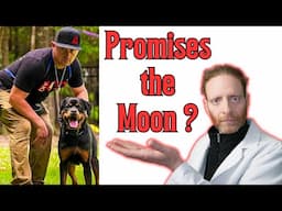 Can American Standard K9 Off Leash Recall Every Time??? Reaction Video