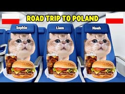 CAT MEMES FAMILY ROAD TRIP TO POLAND