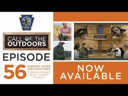 Call of the Outdoors Episode 56: Samples, Spurs, and Strutters: Pennsylvania’s Wild Turkey Studies