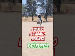 ¡Cuando el caballo es el alumno estrella!Malteada