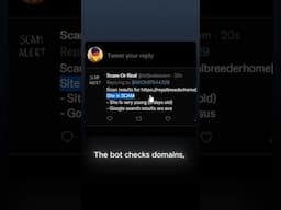 A Twitter bot detect scams? #scambaiting #programming