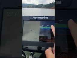Sonar/Gps Raymarine Element Hv #canaldotucunaresp #raymarine #elementhv