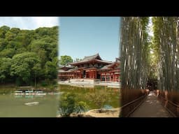 No Words, Just Japan With the Fujifilm x100vi | 33