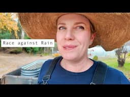 Garden Tasks before the Winter Rains Start in Australia