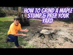 How to Grind a Maple Stump & Prep Your Yard for New Grass