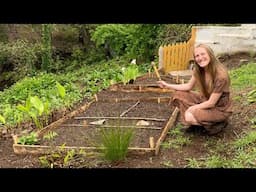 Spring Projects at my Off-Grid Homestead