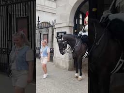 DON'T TOUCH THE HORSE