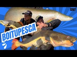 EM BUSCA DOS GIGANTES DO PESQUEIRO BOITUPESCA - Fishingtur 1061