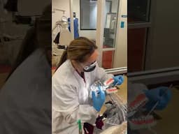 Dental Indirect Vision #CharterCollege #DentalAssisting