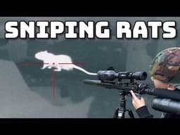Trapped in a Rat Infested Warehouse!!