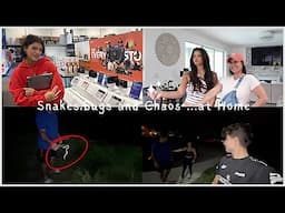 Our house Turned Into a Zoo ./Shopping for a New Camera .vlog#1178