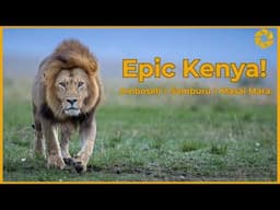 Our EPIC Kenya Photo Safari - What we saw and photographed!!