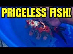 I HAVE A FISH THATS PRICELESS!
