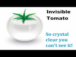 The Invisible Tomato! So Clear You Cant Even See it : )