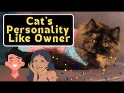 What Does My Cat's Personality Say About Me?