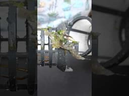 DEEP CLEANING KITCHEN APPLIANCES | BECKY MOSS | SPRING CLEANING ✨ #deepcleaning #kitchencleaning