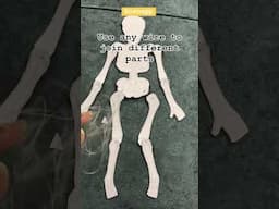 Human Skeleton Model #skeleton #skeletal #humanskeleton #humanskeletalsystem