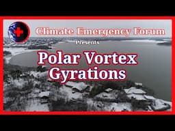 Polar Vortex Gyrations