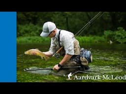Introduction to Aardvark McLeod 2025
