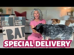 They Knew It Was for Them… BarkBox Madness!
