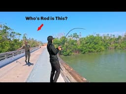 Trying to Catch Dinner at a New Pier! *Got in Trouble*