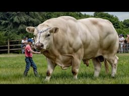 Most Bizarre Animals Hard To Believe Are Actually Real
