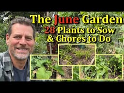 28 Vegetable Plants to Sow in June & Garden Chores to Do (Direct Seed Vegetables)