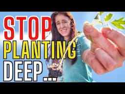 Leggy Seedlings? Here’s the Fix! Using Science.