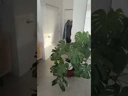 PT 1: Making my office into my dream room