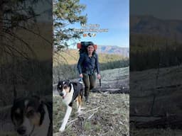 5 things I bring backpacking for my dog. Open Farm Freeze-Dried Raw is lightweight and high-protein