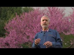Is Genesis History? Playlist