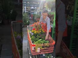 DIY Basics - Annuals vs. Perennials Explained | The Home Depot