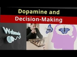 How does Dopamine affect Decision-Making: How Your Brain Weighs Rewards and Risks