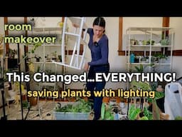Why My Plants Are Struggling… And How I'm Saving Them | Houseplant Lighting & Plant Grow Lights